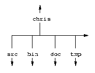 Chris' directory structure