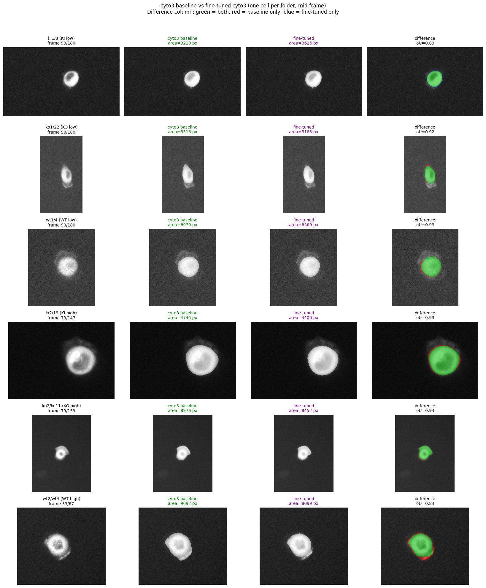 cyto3 baseline vs fine-tuned cyto3 comparison, 6 cells