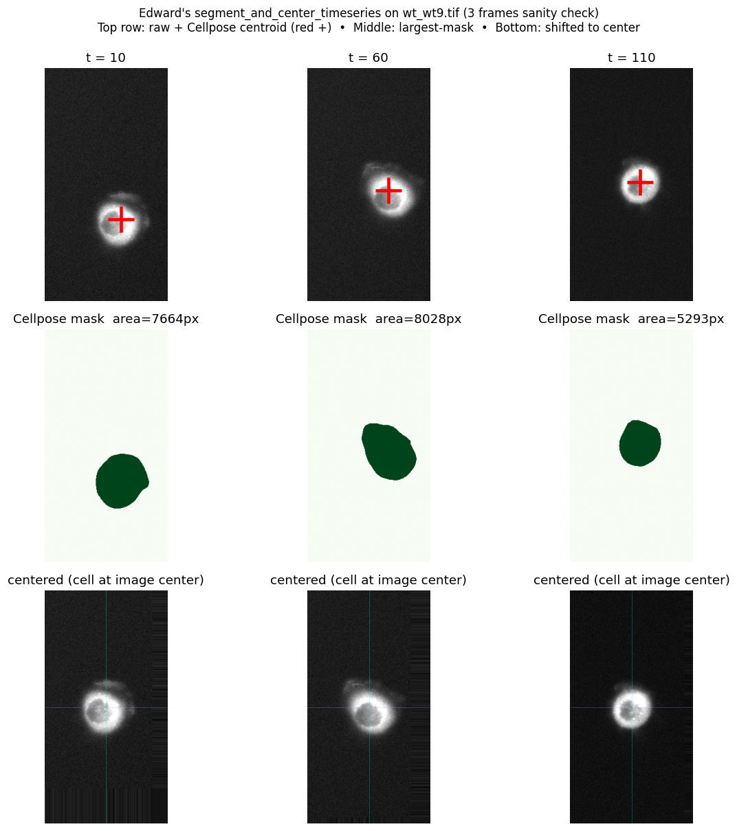 Cellpose + cell centering, 3-frame sanity check