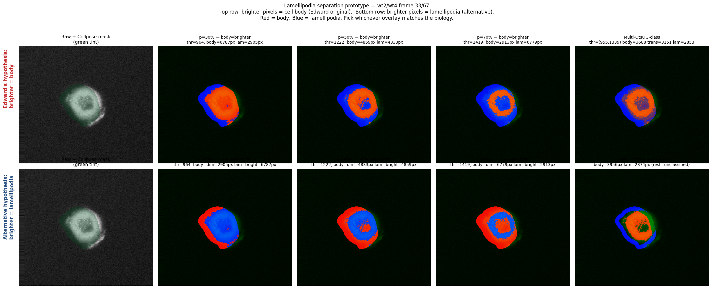 Lamellipodia separation parameter sweep