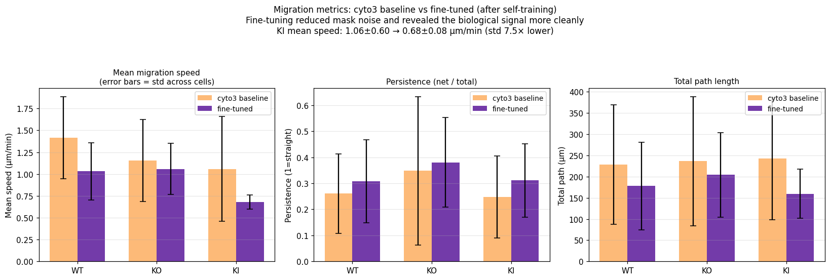 Migration metrics: baseline vs fine-tuned