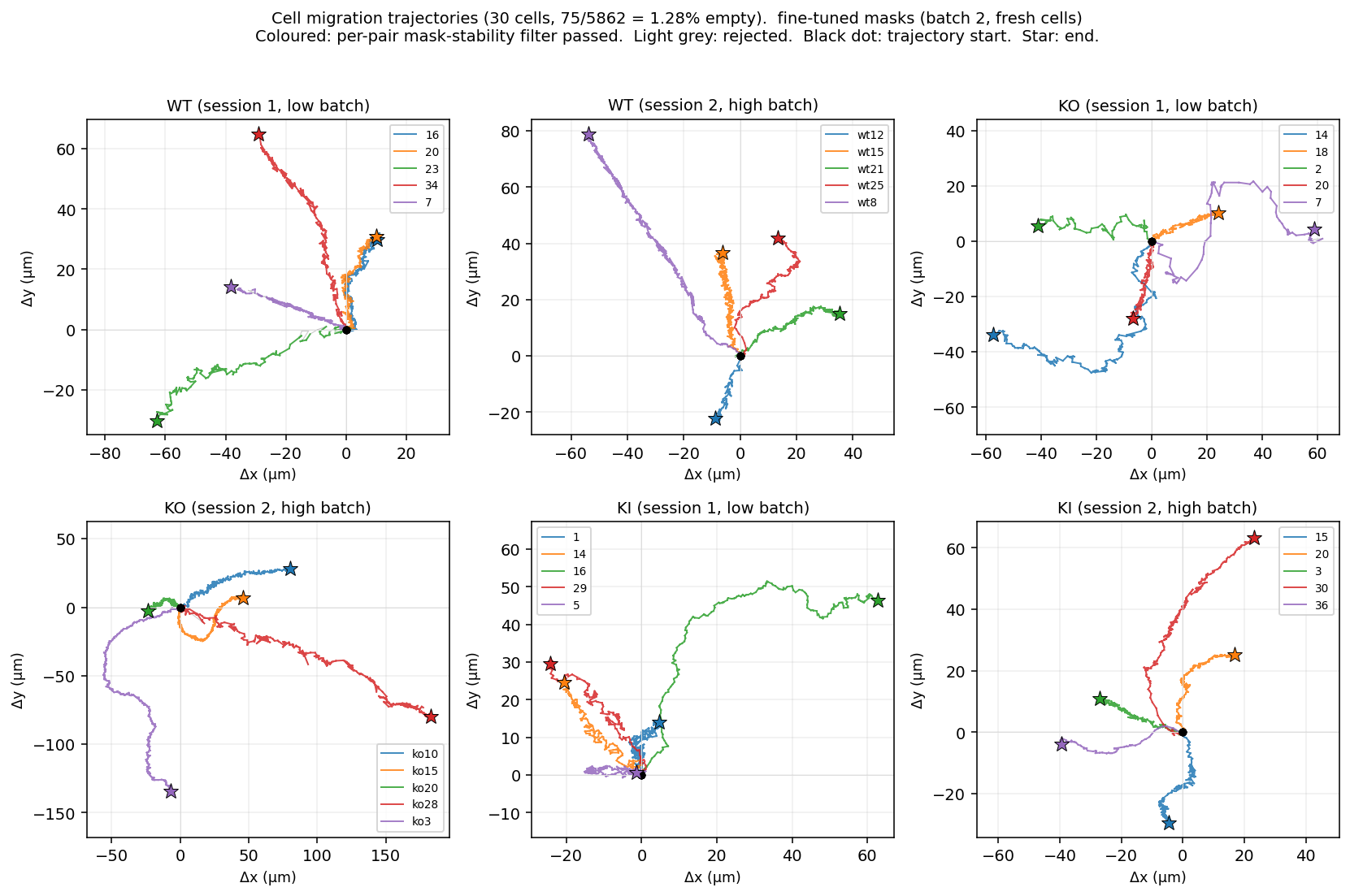 Cell migration trajectories on the fresh 30 cells