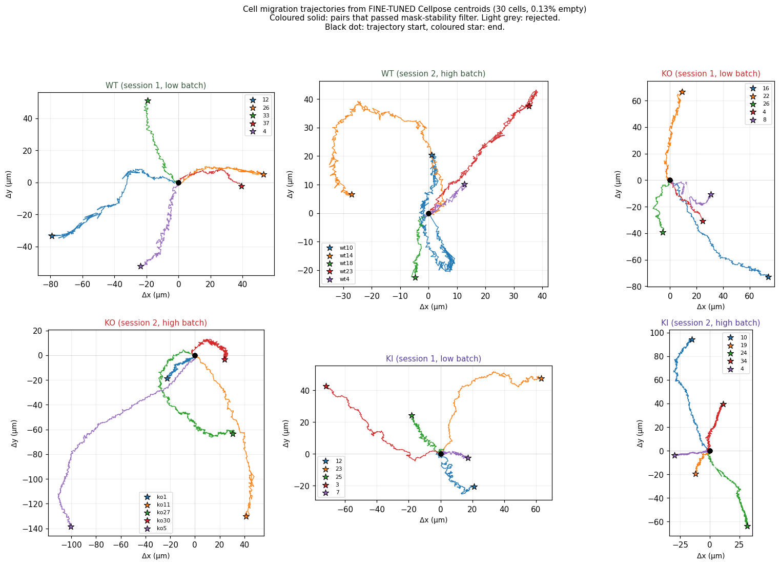 Per-cell migration trajectories, 6 folders