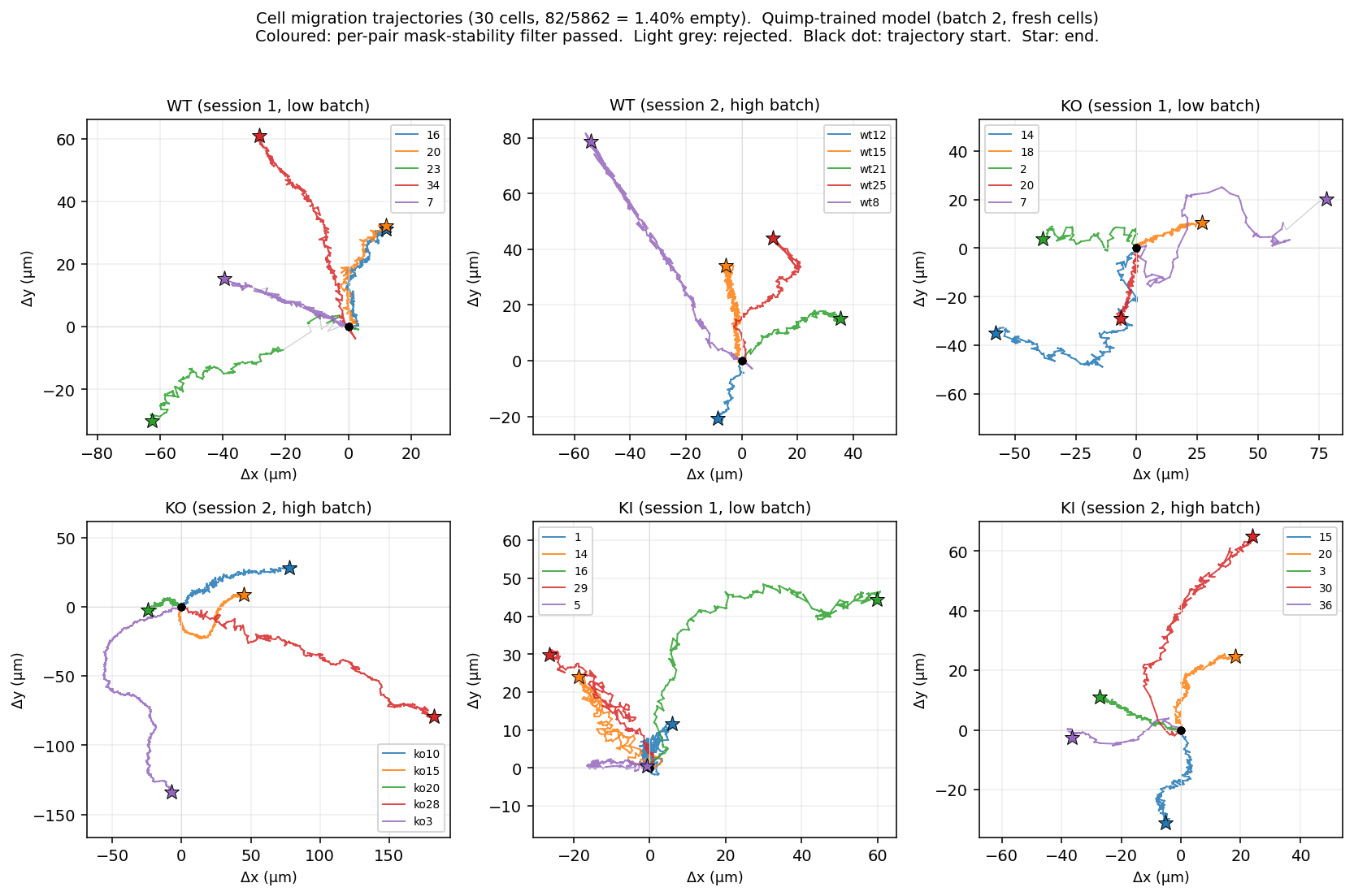 Quimp-model trajectories, batch 2