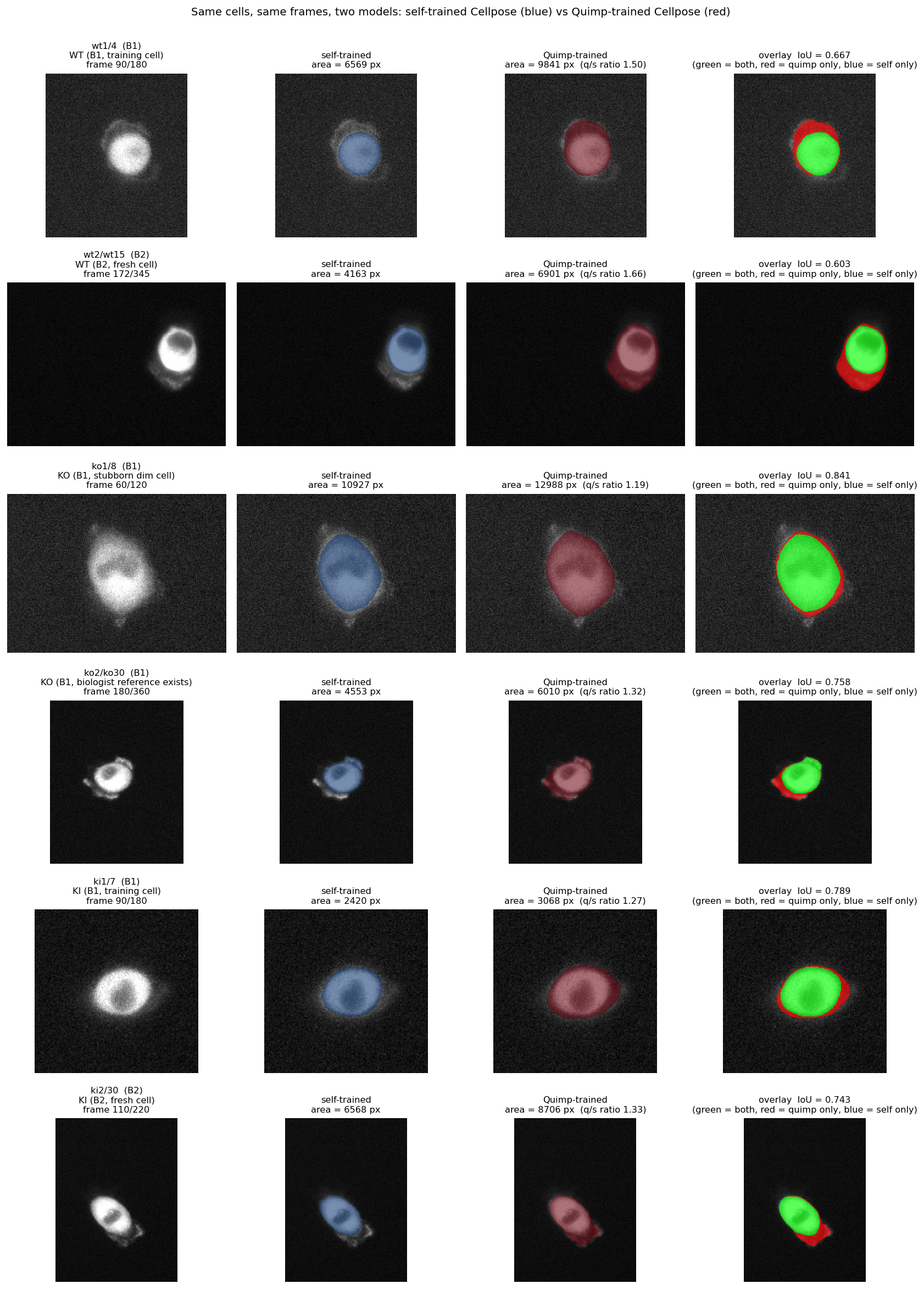 Side-by-side: self-trained vs Quimp-trained masks on six representative cells